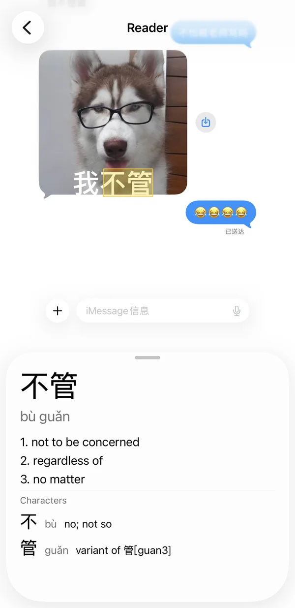A meme in a chat. The word 不管 inside the picture is looked up as bù guǎn, not to be concerned.
